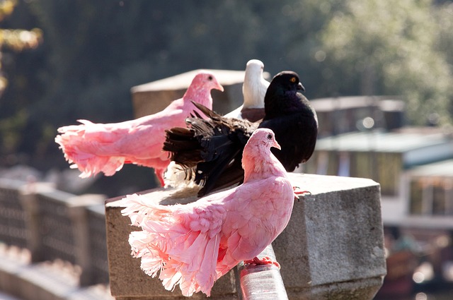 英媒：吉达国民想世界杯后签维尼修斯，准备开5年10亿欧薪水